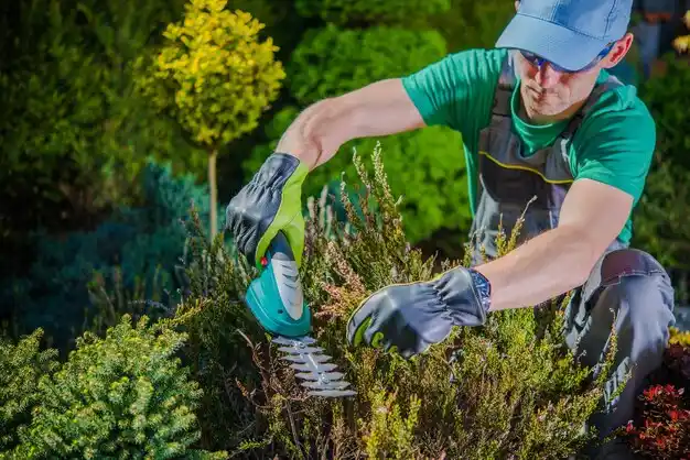 landscaping services Mastic